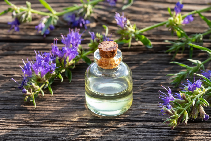Exploring the Versatility of Essential Oils: From Purification to Relaxation