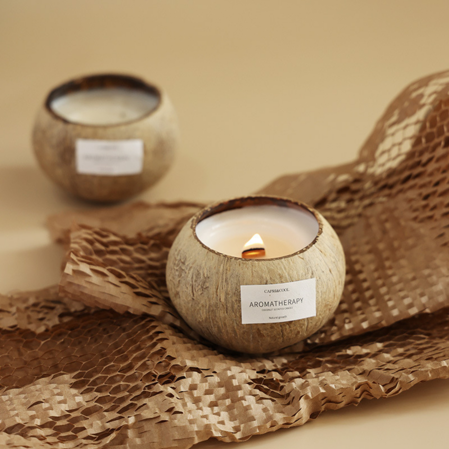 Coconut Shell Aromatherapy Candle