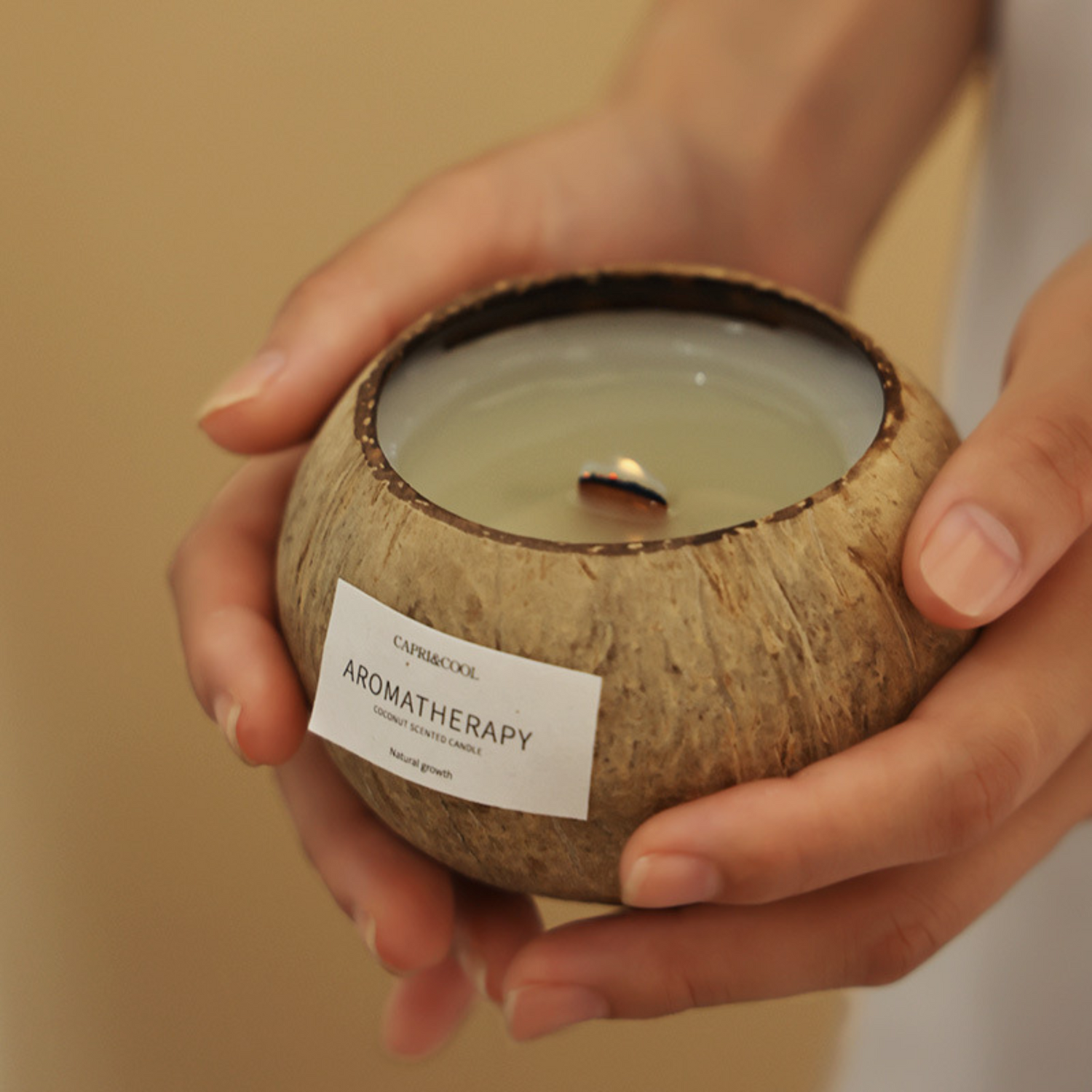 Coconut Shell Aromatherapy Candle