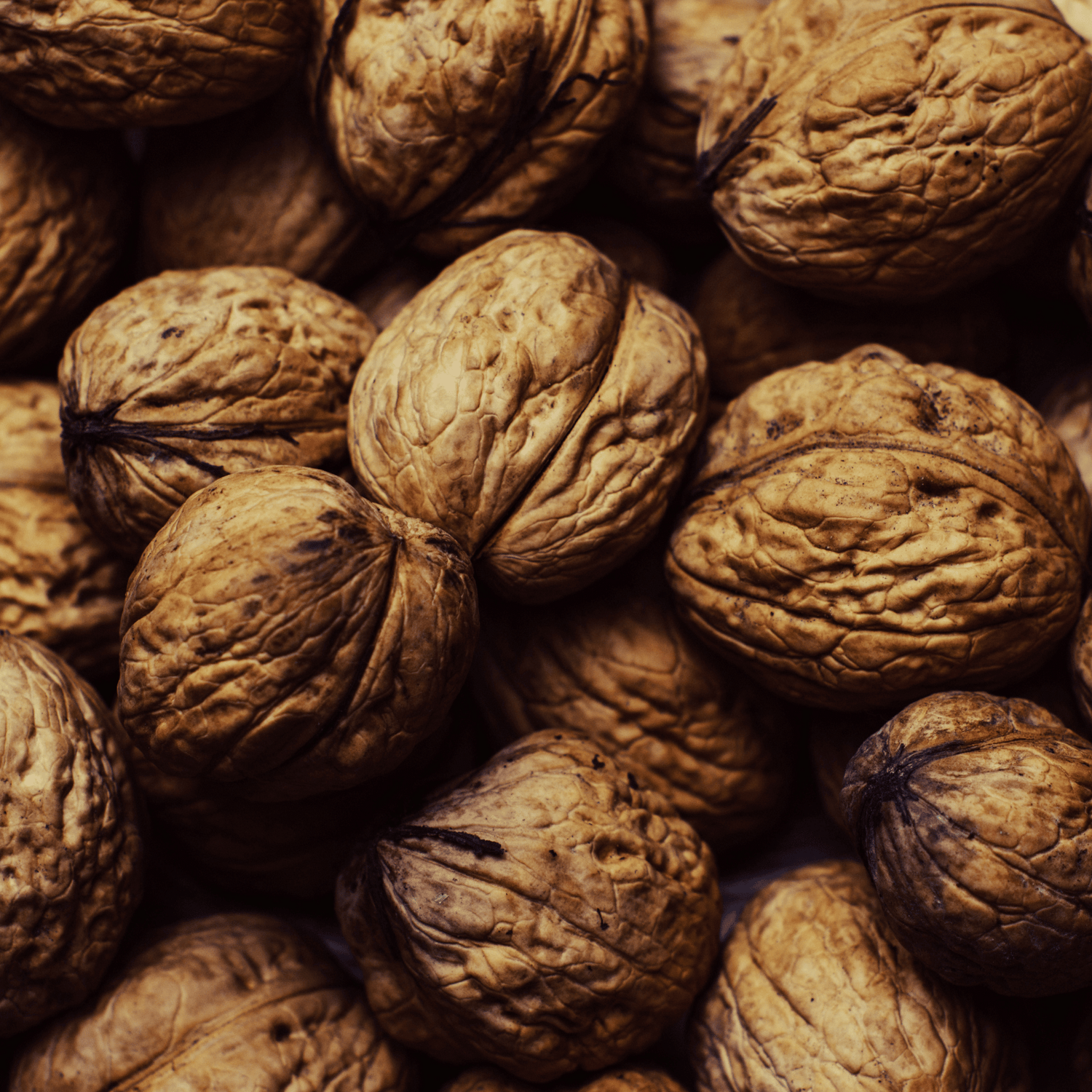 Walnut Oil | Deep Nourishment for Skin and Hair - 100ml